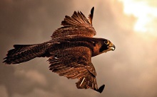 image02